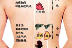 怎么刮痧背部视频教程,轻松掌握背部刮痧技巧